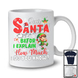 Before I Explain How Much Do You Know; Humorous Christmas Santa Naughty Elf Lover; Family T-Shirt