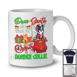 Dear Santa All I Want For Christmas Is A Border Collie; Joyful X-mas Lights Snowing; Family T-Shirt