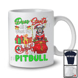 Dear Santa All I Want For Christmas Is A Pit Bull; Joyful X-mas Lights Snowing; Family T-Shirt