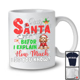 Dear Santa Before I Explain; Wonderful Christmas Cockapoo Santa Naughty; Snowing Family T-Shirt