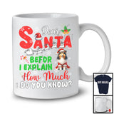 Dear Santa Before I Explain; Wonderful Christmas Shetland Sheepdog Santa Naughty; Snowing T-Shirt