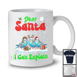 Dear Santa I Can Explain; Fantastic Christmas Lights Three Budgerigars Owner; Snowing T-Shirt