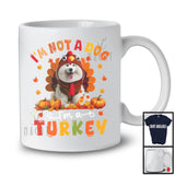 I'm Not A Dog I'm A Turkey; Humorous Thanksgiving Turkey Samoyed Dog Owner Lover; Family T-Shirt