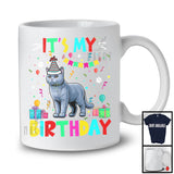 It's My Birthday; Adorable Birthday Party Celebration Chartreux Cat Owner Lover; Family T-Shirt