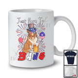 Just Here To Bang, Adorable 4th Of July American Flag Sheltie Drinking Beer, Drunker Patriotic T-Shirt