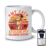 My Cat Stolen My Halloween Costume; Creepy Animal Pumpkin Retro; Family Group T-Shirt