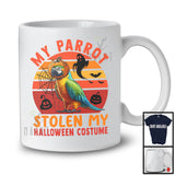 My Parrot Stolen My Halloween Costume; Awesome Halloween Carved Pumpkin Face; Bird Lover T-Shirt