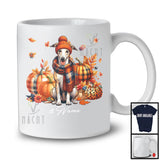 Personalized Custom Name Whippet Plaid Pumpkins; Thanksgiving Fall Leaves; Family T-Shirt