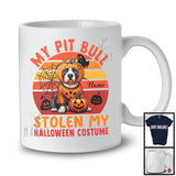 Personalized Pit Bull Stolen My Halloween Costume; Scary Pumpkin Face; Custom Name T-Shirt