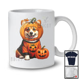 Pumpkin Corgi; Adorable Halloween Costume Pumpkin; Dog Owner Family T-Shirt