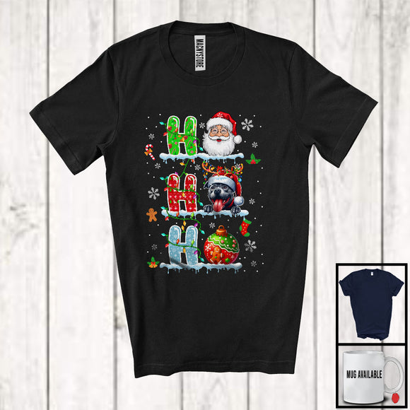 MacnyStore - 3Ho; Adorable Christmas Ornaments Santa Santa Pit Bull; Snowing X-mas Family Group T-Shirt