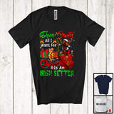 MacnyStore - Dear Santa All I Want For Christmas Is An Irish Setter; Joyful X-mas Lights Snowing; Family T-Shirt