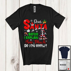 MacnyStore - Dear Santa Before I Explain; Wonderful Christmas Bernedoodle Santa Naughty; Snowing Family T-Shirt