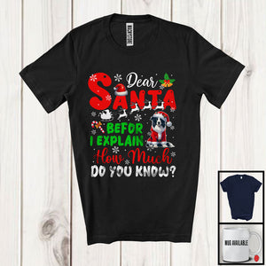 MacnyStore - Dear Santa Before I Explain; Wonderful Christmas Border Collie Santa Naughty; Snowing Family T-Shirt