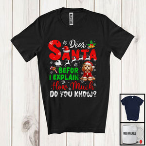 MacnyStore - Dear Santa Before I Explain; Wonderful Christmas Cockapoo Santa Naughty; Snowing Family T-Shirt