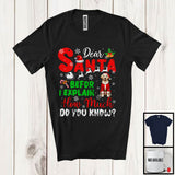 MacnyStore - Dear Santa Before I Explain; Wonderful Christmas Labrador Retriever Santa Naughty; Snowing T-Shirt