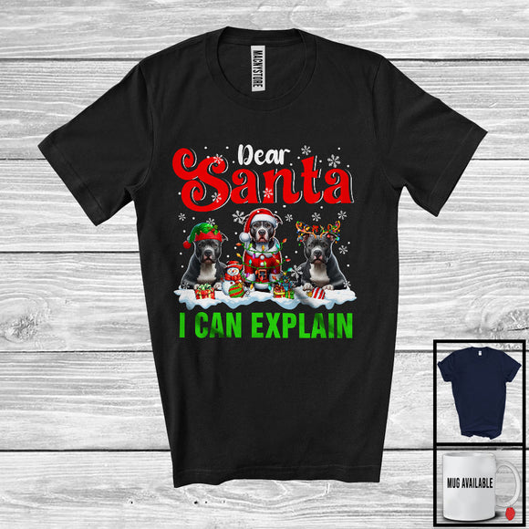 MacnyStore - Dear Santa I Can Explain; Amazing Christmas Three Pit Bulls Owner; X-mas Snowing T-Shirt