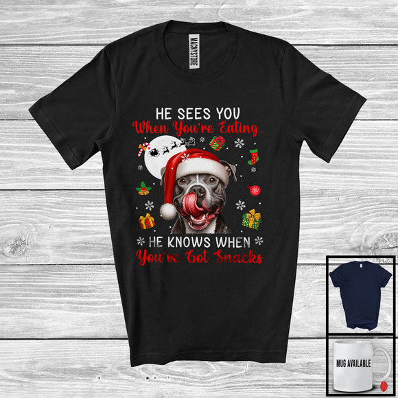 MacnyStore - He Sees You When You're Eating; Humorous Christmas Santa Pit Bull; X-mas Moon Snow T-Shirt