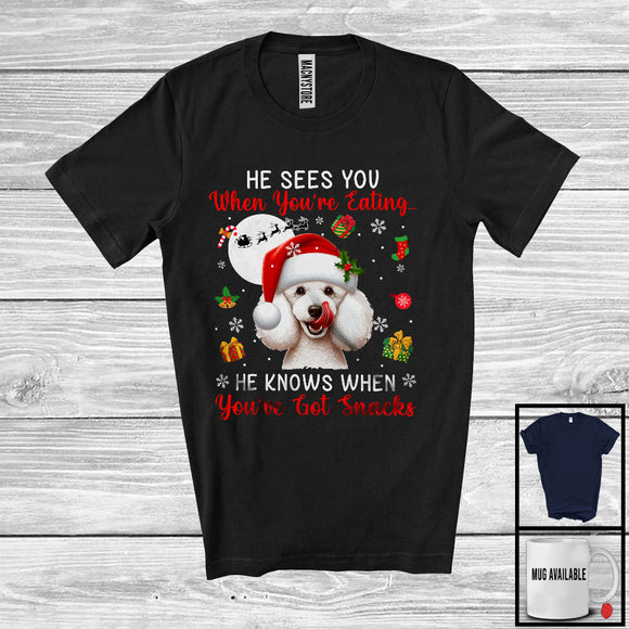 MacnyStore - He Sees You When You're Eating; Humorous Christmas Santa Poodle; X-mas Moon Snow T-Shirt