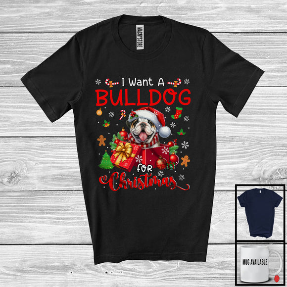 MacnyStore - I Want A Bulldog For Christmas; Adorable Santa Bulldog In X-mas Present Box; Family Group T-Shirt