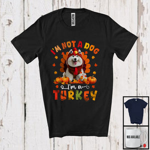 MacnyStore - I'm Not A Dog I'm A Turkey; Humorous Thanksgiving Turkey Samoyed Dog Owner Lover; Family T-Shirt