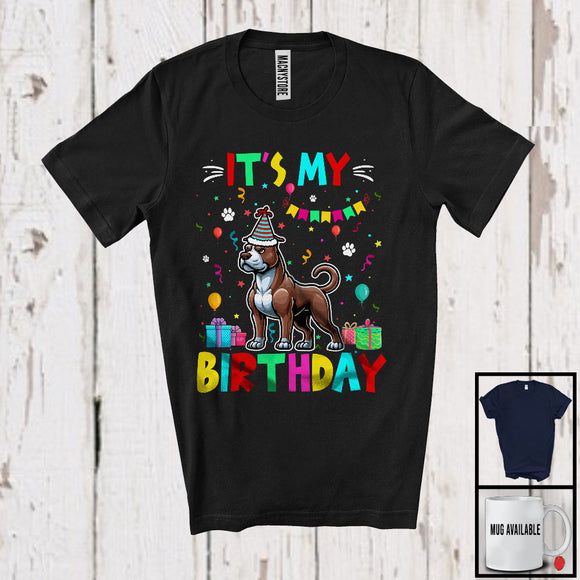 MacnyStore - It's My Birthday; Adorable Birthday Party Celebration Pit Bull Owner Lover; Family Group T-Shirt