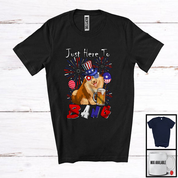 MacnyStore - Just Here To Bang, Adorable 4th Of July Pomeranian Drinking Beer, Drunker Patriotic Group T-Shirt