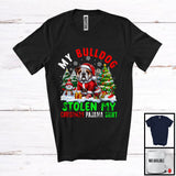 MacnyStore - My Bulldog Stolen My Christmas Pajama Shirt; Amazing X-mas Tree Snowing; Family Group T-Shirt