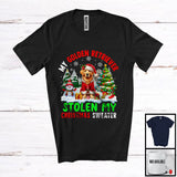 MacnyStore - My Golden Retriever Stolen My Christmas Sweater; Merry X-mas Tree Snowing; Santa Animal T-Shirt