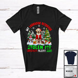 MacnyStore - My Labrador Retriever Stolen My Christmas Pajama Shirt; Amazing X-mas Tree Snowing; Family T-Shirt