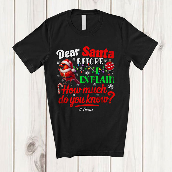 MacnyStore - Personalized Dear Santa How Much Do You Know; Lovely Christmas Custom Name Santa Cardinal Bird T-Shirt