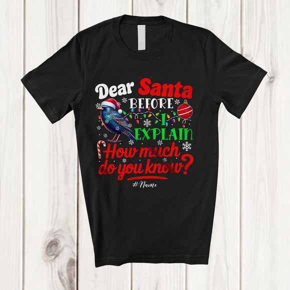 MacnyStore - Personalized Dear Santa How Much Do You Know; Lovely Christmas Custom Name Santa Starling T-Shirt