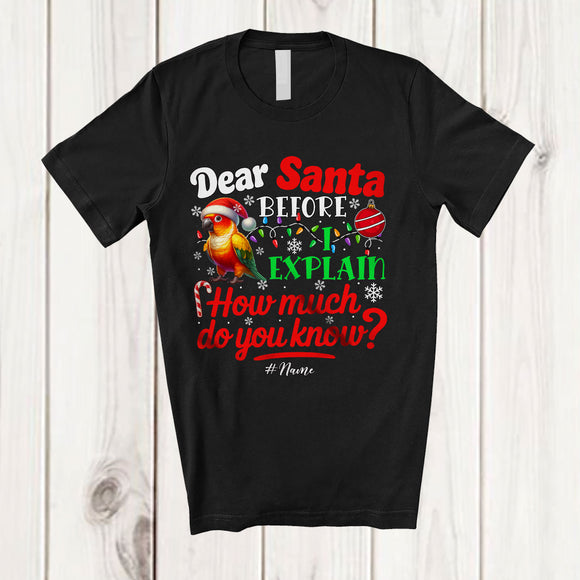 MacnyStore - Personalized Dear Santa How Much Do You Know; Lovely Christmas Custom Name Santa Sun Conure T-Shirt