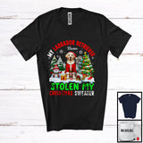 MacnyStore - Personalized Labrador Retriever Stolen My Christmas Sweater; Cute X-mas Custom Name Snowing T-Shirt