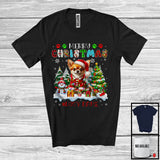 MacnyStore - Personalized Merry Christmas; Lovely Custom Name Santa Chihuahua Owner; Plaid X-mas T-Shirt