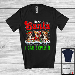 MacnyStore - Personalized Santa I Can Explain; Merry Christmas Custom Name Three Chihuahuas; Snowing T-Shirt