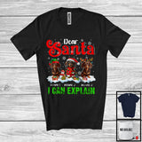 MacnyStore - Personalized Santa I Can Explain; Merry Christmas Custom Name Three Dachshunds; Snowing T-Shirt