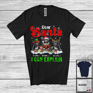 MacnyStore - Personalized Santa I Can Explain; Merry Christmas Custom Name Three Pit Bulls; Snowing T-Shirt