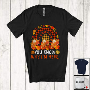 MacnyStore - You Know Why I'm Here; Wonderful Thanksgiving Three Pumpkin Pies Plaid Rainbow; Family T-Shirt