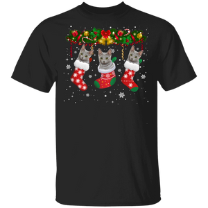 Christmas Cat Shirt Cat In Christmas Socks Cute X-mas Russian Blue Cat Lover Gifts Christmas T-Shirt - Macnystore