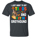 I Just Want To Eat Tacos And Pet My Greyhound Mexican Gifts Youth T-Shirt - Macnystore